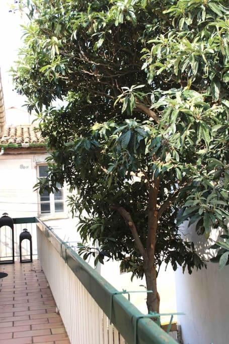 Spacieux Appartement 4 Couchages, Terrasse Privee Narbona Esterno foto